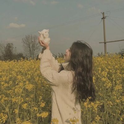 汤头条免费版 — 零门槛海量视频随心刷